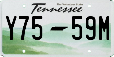 TN license plate Y7559M