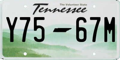 TN license plate Y7567M