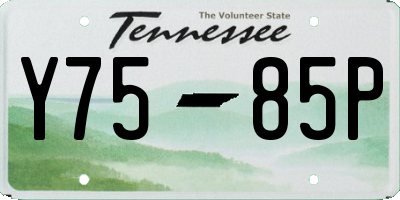 TN license plate Y7585P