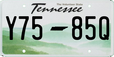 TN license plate Y7585Q