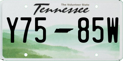TN license plate Y7585W