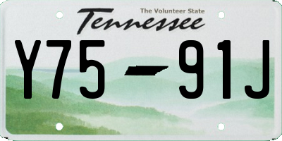 TN license plate Y7591J
