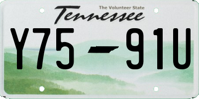 TN license plate Y7591U