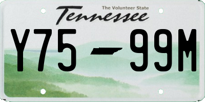 TN license plate Y7599M