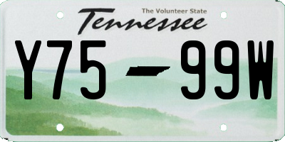 TN license plate Y7599W