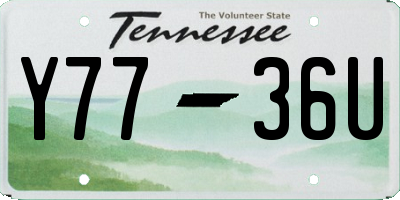 TN license plate Y7736U