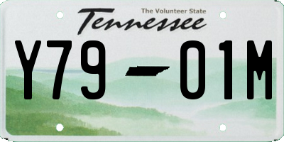 TN license plate Y7901M