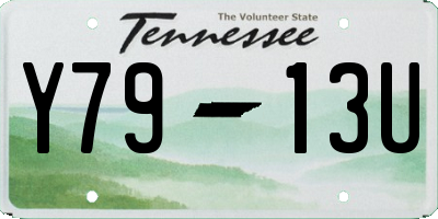 TN license plate Y7913U