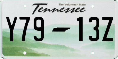 TN license plate Y7913Z