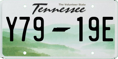 TN license plate Y7919E