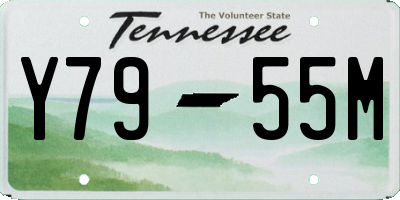 TN license plate Y7955M