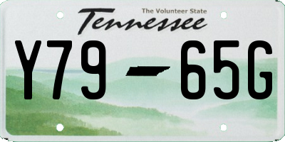 TN license plate Y7965G