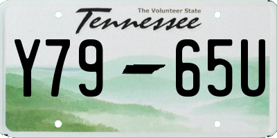 TN license plate Y7965U