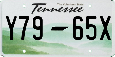 TN license plate Y7965X
