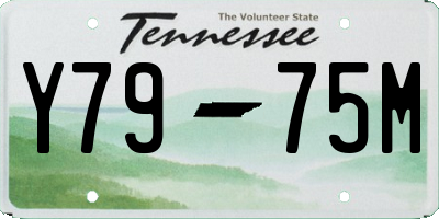 TN license plate Y7975M