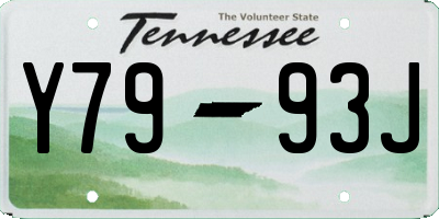 TN license plate Y7993J