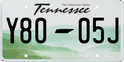 TN license plate Y8005J