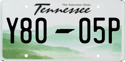 TN license plate Y8005P