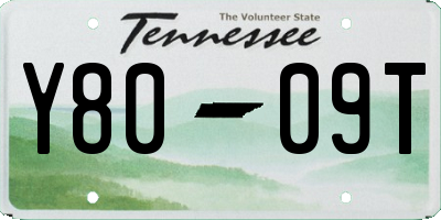 TN license plate Y8009T