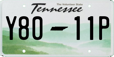 TN license plate Y8011P