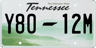 TN license plate Y8012M