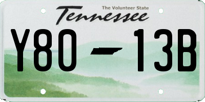 TN license plate Y8013B