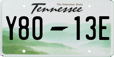 TN license plate Y8013E