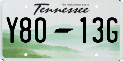 TN license plate Y8013G