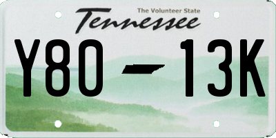 TN license plate Y8013K