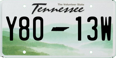 TN license plate Y8013W