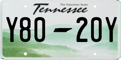TN license plate Y8020Y