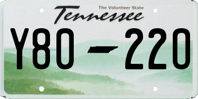 TN license plate Y8022O