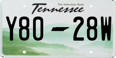 TN license plate Y8028W