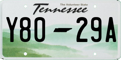 TN license plate Y8029A