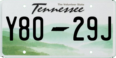 TN license plate Y8029J