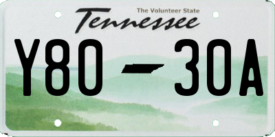 TN license plate Y8030A