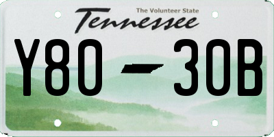 TN license plate Y8030B