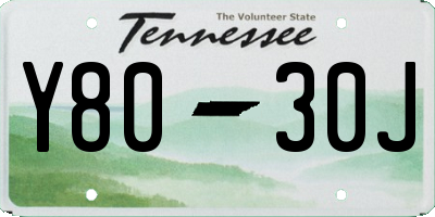 TN license plate Y8030J
