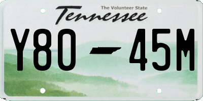 TN license plate Y8045M