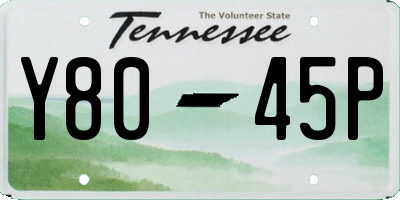 TN license plate Y8045P