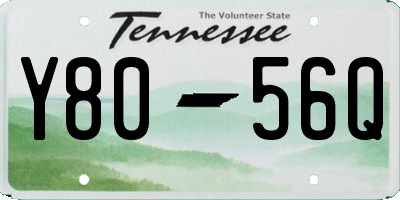 TN license plate Y8056Q