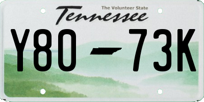 TN license plate Y8073K
