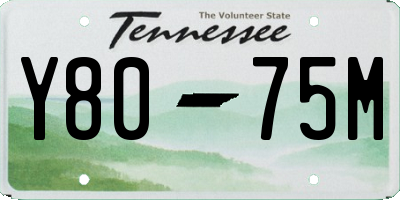 TN license plate Y8075M