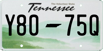 TN license plate Y8075Q