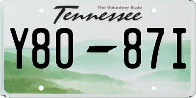 TN license plate Y8087I
