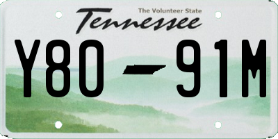 TN license plate Y8091M