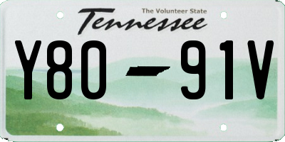 TN license plate Y8091V