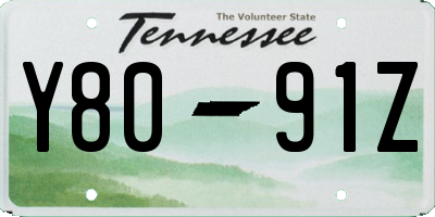 TN license plate Y8091Z