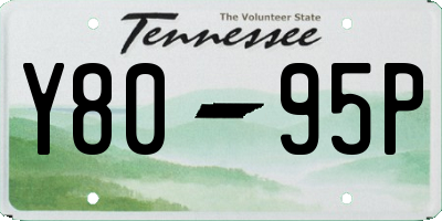 TN license plate Y8095P