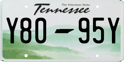 TN license plate Y8095Y